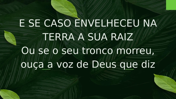 Árvore Cortada - página 22