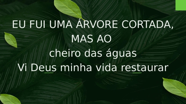 Árvore Cortada - página 25