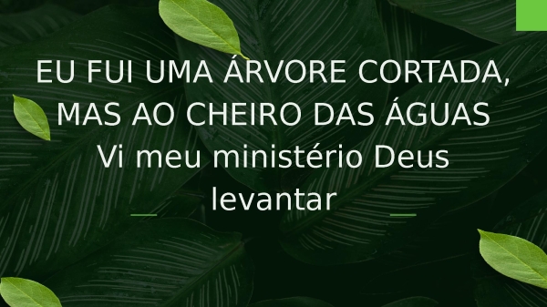 Árvore Cortada - página 26