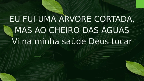 Árvore Cortada - página 27