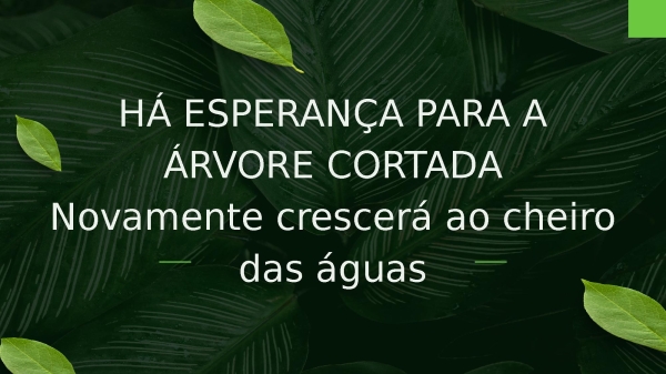 Árvore Cortada - página 5
