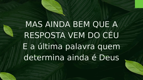 Árvore Cortada - página 10