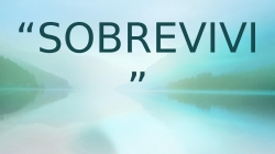 SHIRLEY CARVALHAES - SOBREVIVI.pptx