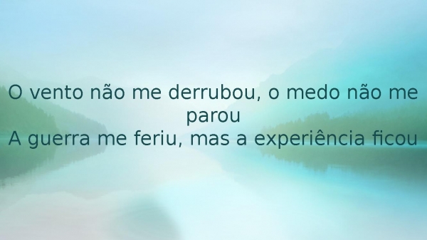SHIRLEY CARVALHAES - SOBREVIVI.pptx - página 2