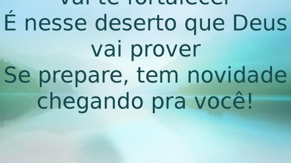 SHIRLEY CARVALHAES - SOBREVIVI.pptx - página 12