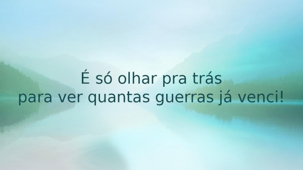 SHIRLEY CARVALHAES - SOBREVIVI.pptx - página 7