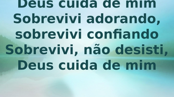 SHIRLEY CARVALHAES - SOBREVIVI.pptx - página 8