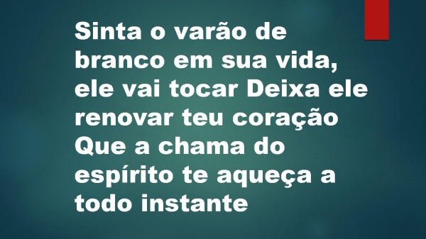 VARÃO DE BRANCO.pptx - página 8