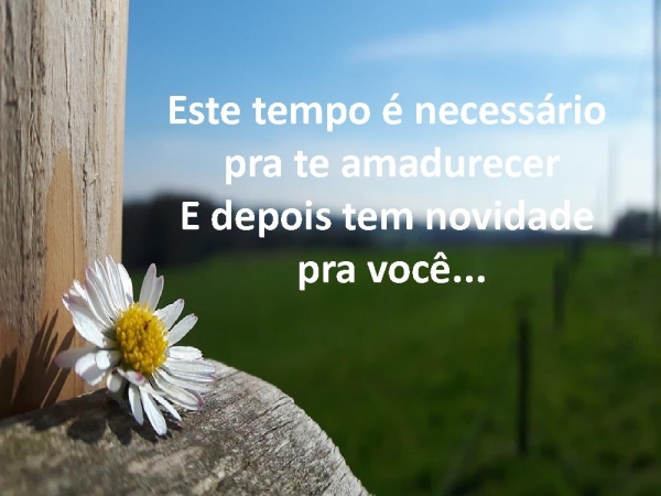 EU CUIDO DE TI  - página 6