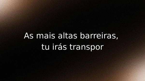 Não Há Barreiras - página 17
