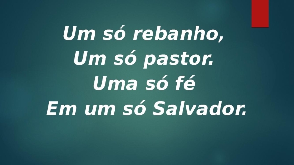 um só rebanho Hcc - 574 - página 2