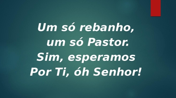 um só rebanho Hcc - 574 - página 11