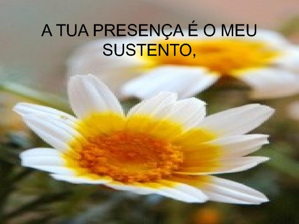 Nos braços do Pai - página 4
