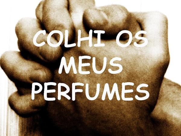 Eu vou abrir meu coração - página 6