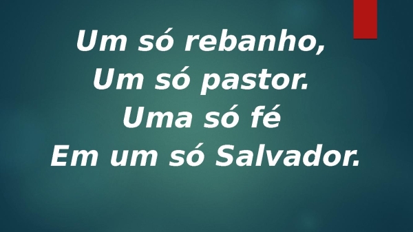 um só rebanho Hcc 574 - página 2