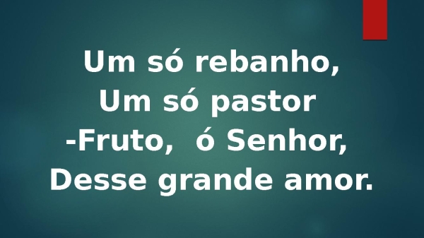 um só rebanho Hcc 574 - página 4