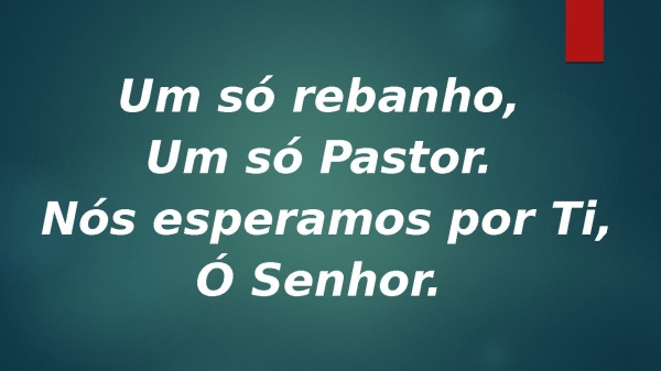 um só rebanho Hcc 574 - página 8