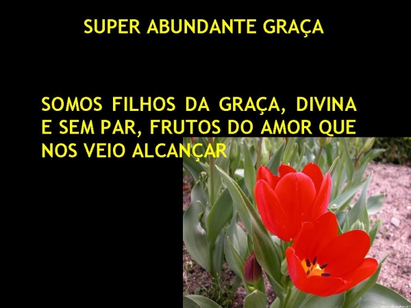SUPER ABUNDANTE GRAÇA - página 1