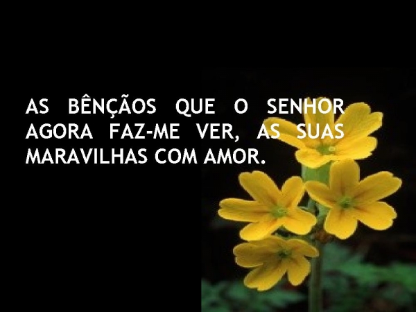ESPÍRITO DE DEUS VENHA RENOVAR MEU VIVER - página 3