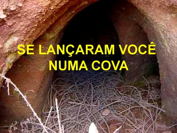 SE TENTARAM, matar seus sonhos - página 3
