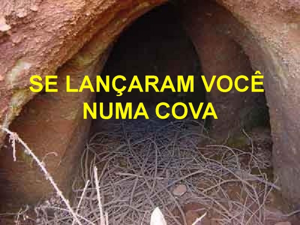 SE TENTARAM, matar seus sonhos - página 7