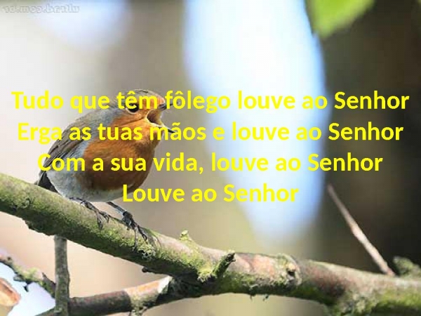 Tudo Que Têm Fôlego - página 3