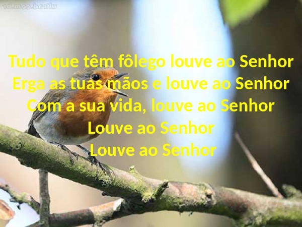 Tudo Que Têm Fôlego - página 5