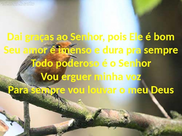 Tudo Que Têm Fôlego - página 6