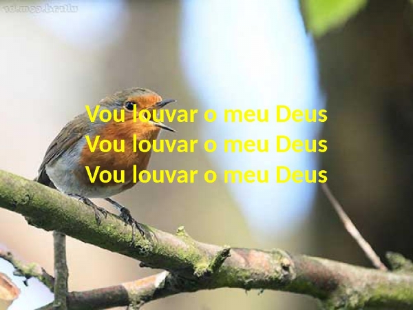 Tudo Que Têm Fôlego - página 7