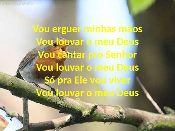 Tudo Que Têm Fôlego - página 8