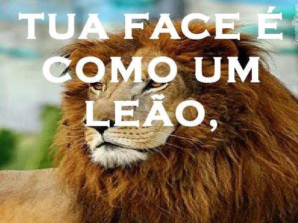 TUA FACE É COMO UM LEÃO - página 1