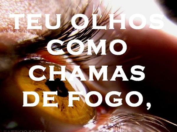 TUA FACE É COMO UM LEÃO - página 2