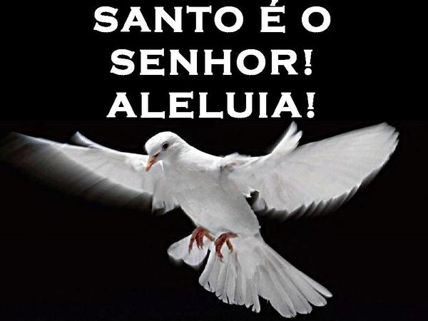 TUA FACE É COMO UM LEÃO - página 25