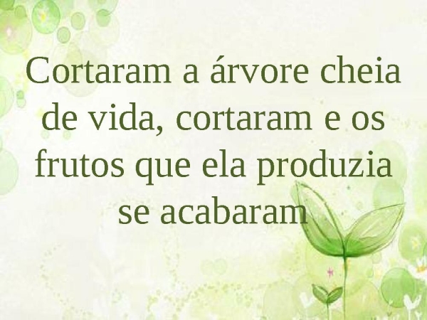 Árvore cortada - página 2