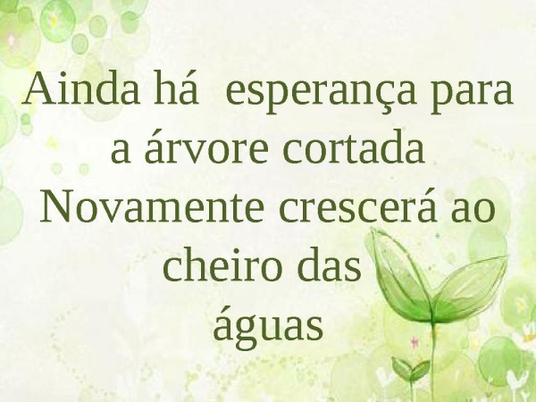 Árvore cortada - página 13