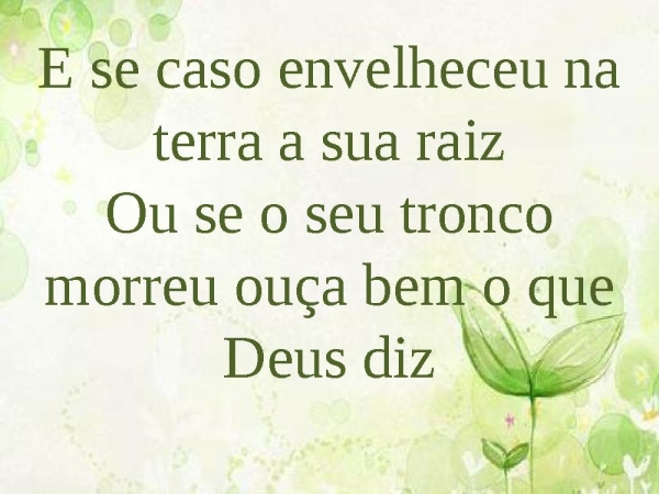 Árvore cortada - página 14