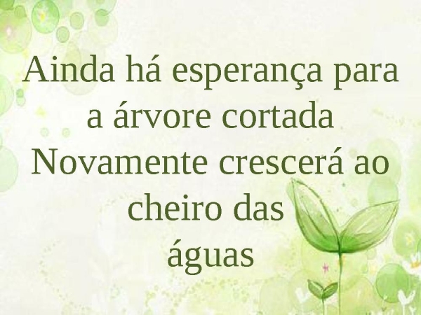 Árvore cortada - página 22