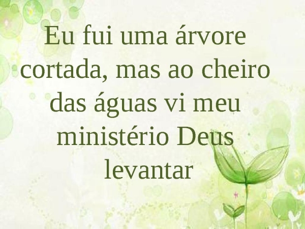Árvore cortada - página 27