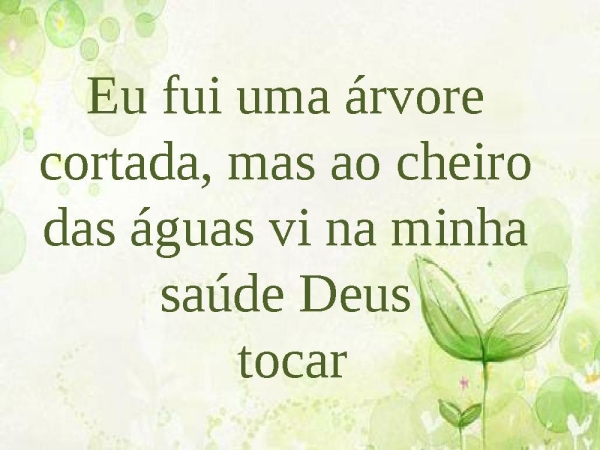 Árvore cortada - página 28