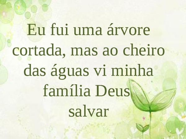 Árvore cortada - página 29