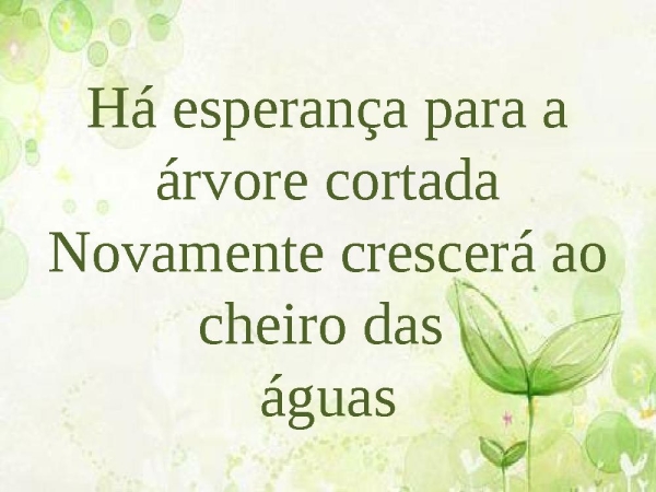 Árvore cortada - página 6