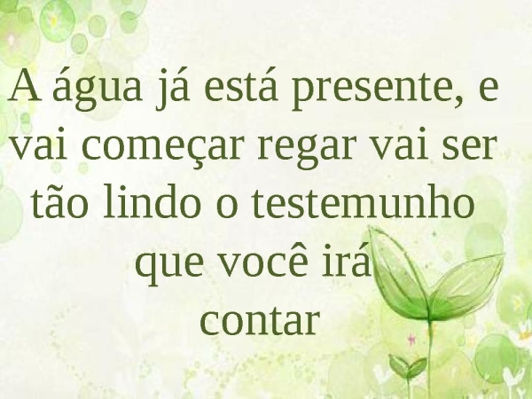 Árvore cortada - página 9