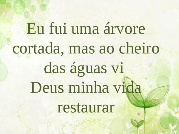 Árvore cortada - página 10
