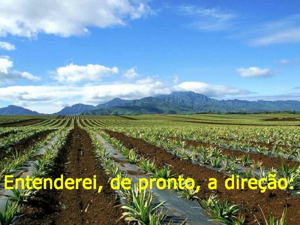 Começar o dia em oração - página 7