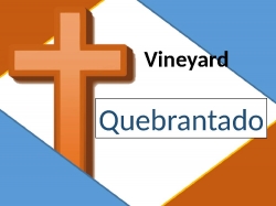Quebrantado - Vineyard