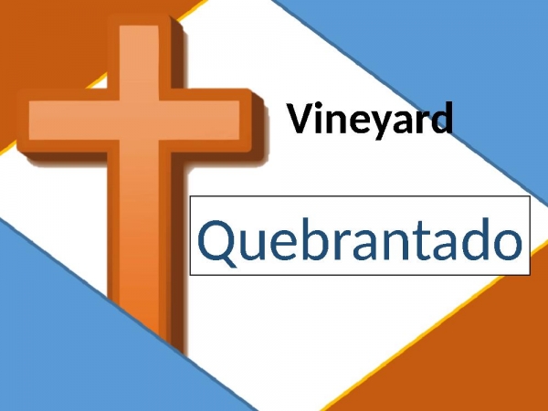 Quebrantado - Vineyard