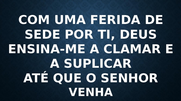 ATE QUE O SENHOR VENHA - página 13