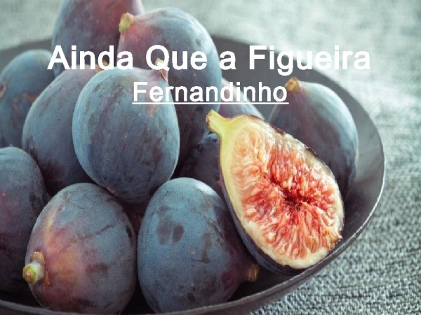 AINDA QUE A FIGUEIRA 