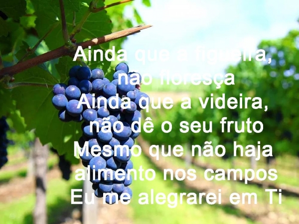 AINDA QUE A FIGUEIRA  - página 5