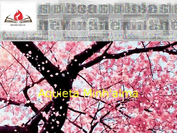 ÀQUIETA MINH'ALMA.pptx - página 1